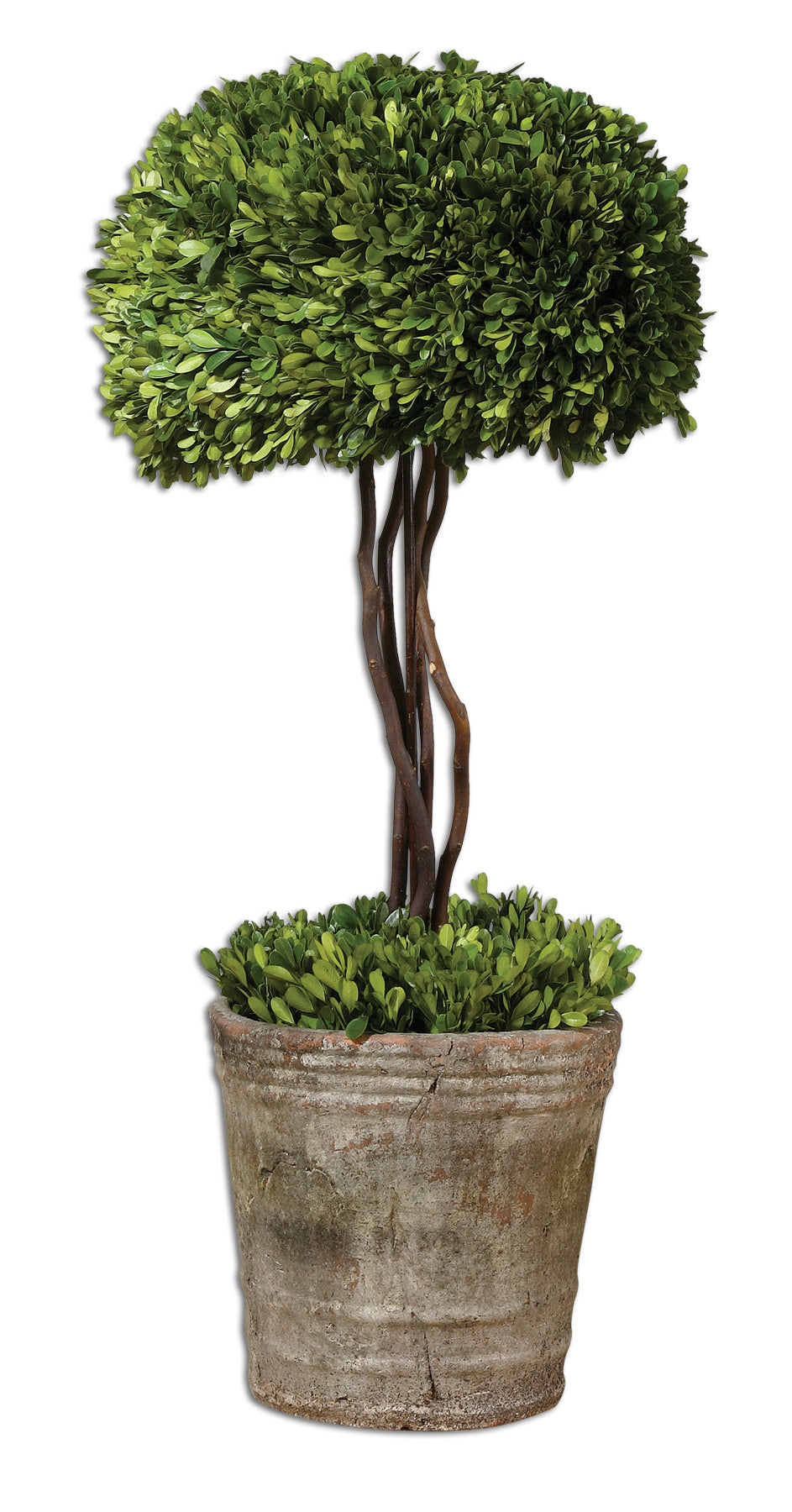 Tree Topiary Preserved Boxwood - AmericanHomeFurniture