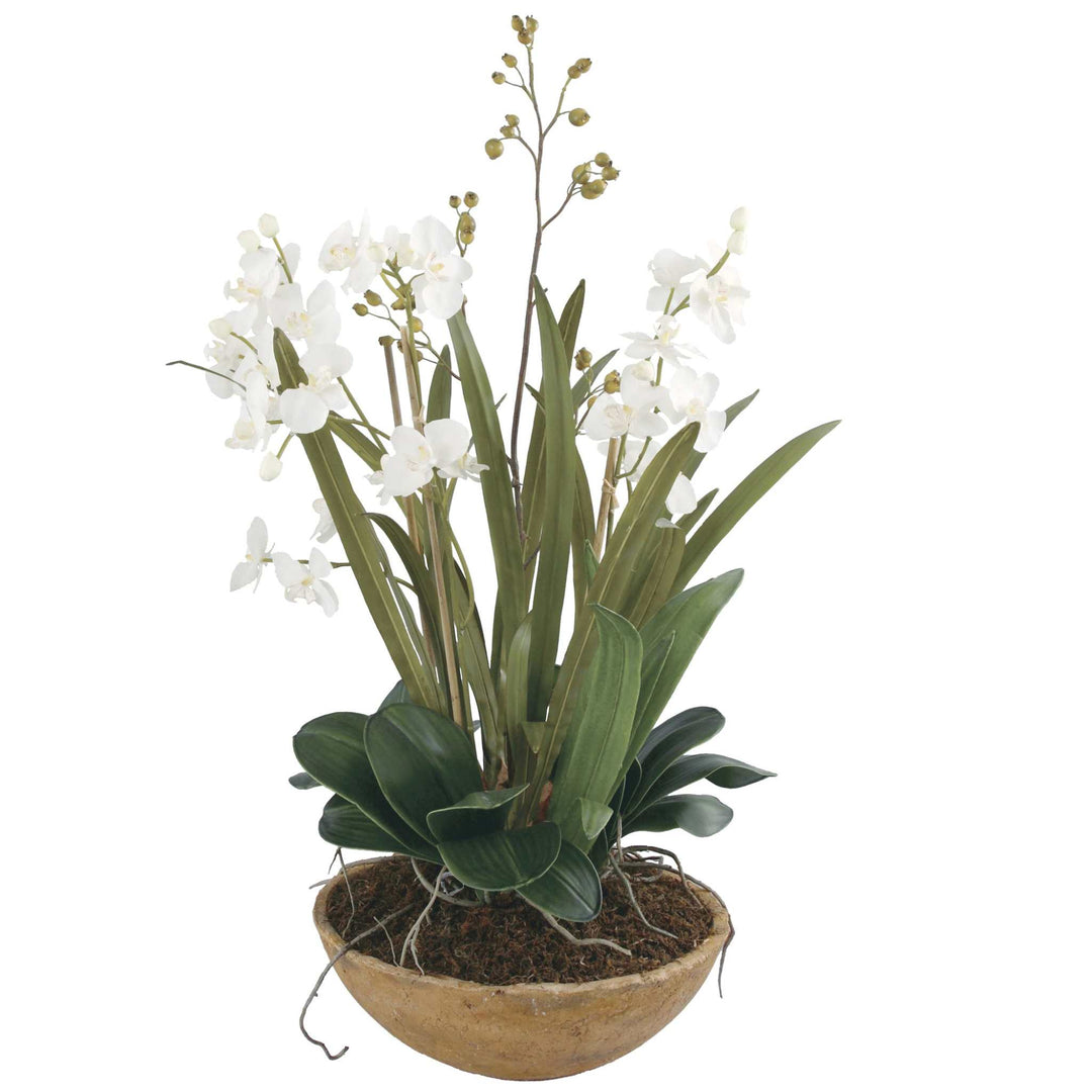 MOTH ORCHID PLANTER - AmericanHomeFurniture