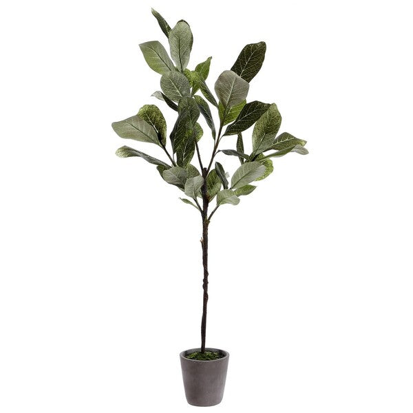 Olive Stem - Magnolia