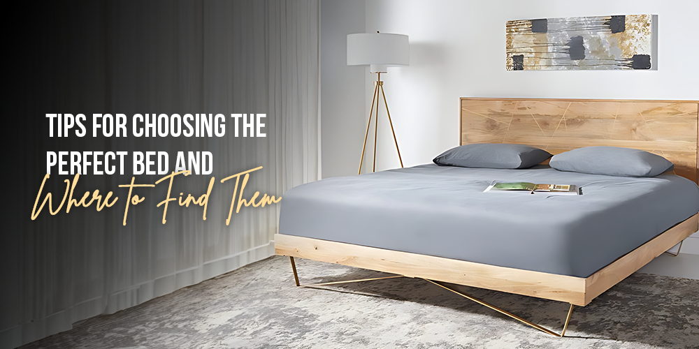 Tips for Choosing the Perfect Bed and Where to Find Them