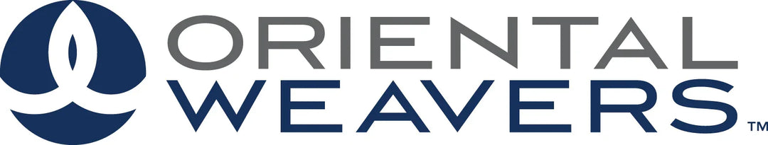 Oriental Weavers modern area rug in beige and blue tones, adding warmth and texture to a contemporary living room with cozy seating and stylish décor.