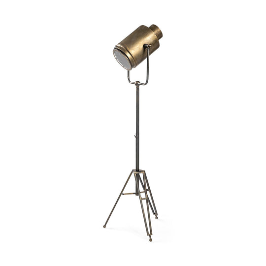 Mercana Debdou (61"H) Gold Metal Adjustable Cinema-Style Floor Lamp FLOOR LAMPS