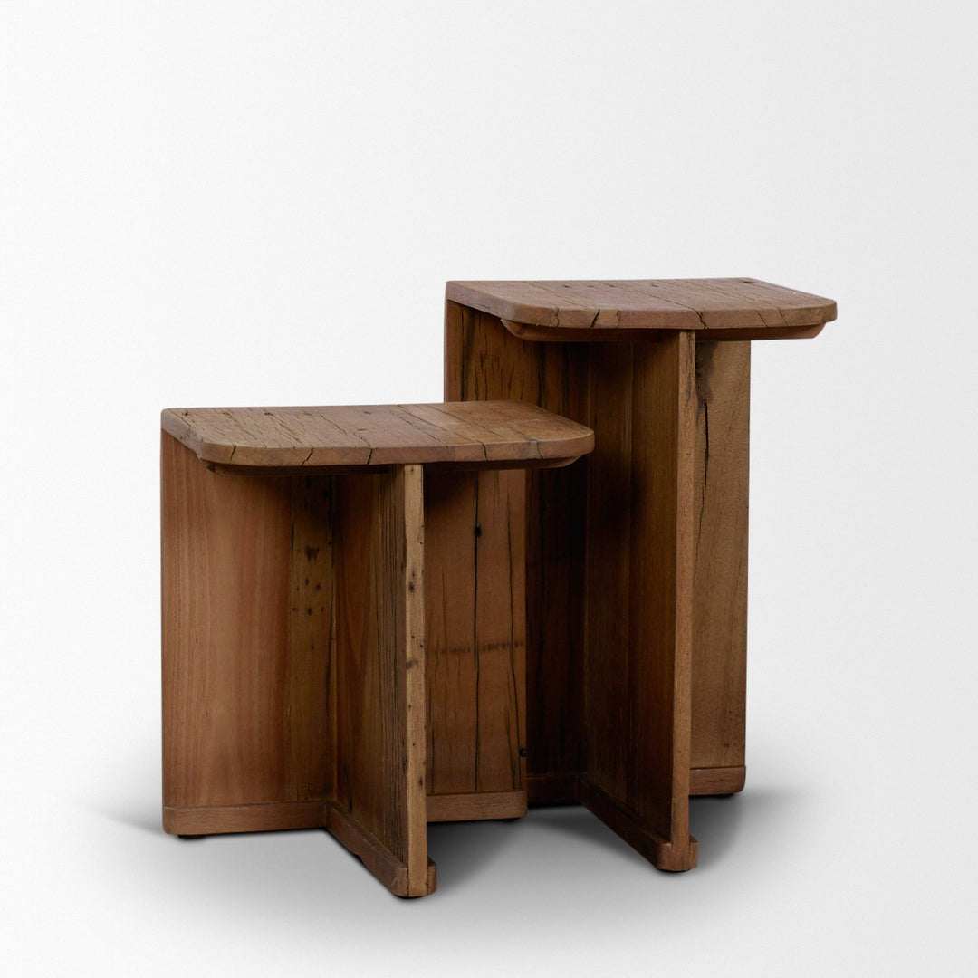Lucan Mid-Dark Brown Reclaimed Wood Side Tables
