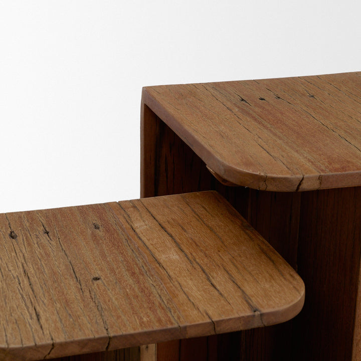 Lucan Mid-Dark Brown Reclaimed Wood Side Tables