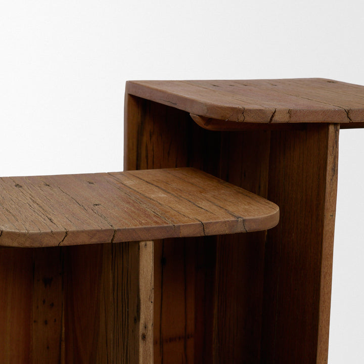 Lucan Mid-Dark Brown Reclaimed Wood Side Tables