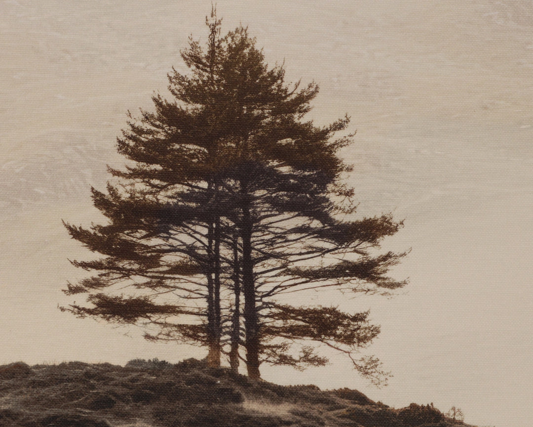 Together Alone II - 20" X 30" - Brown Floater Frame