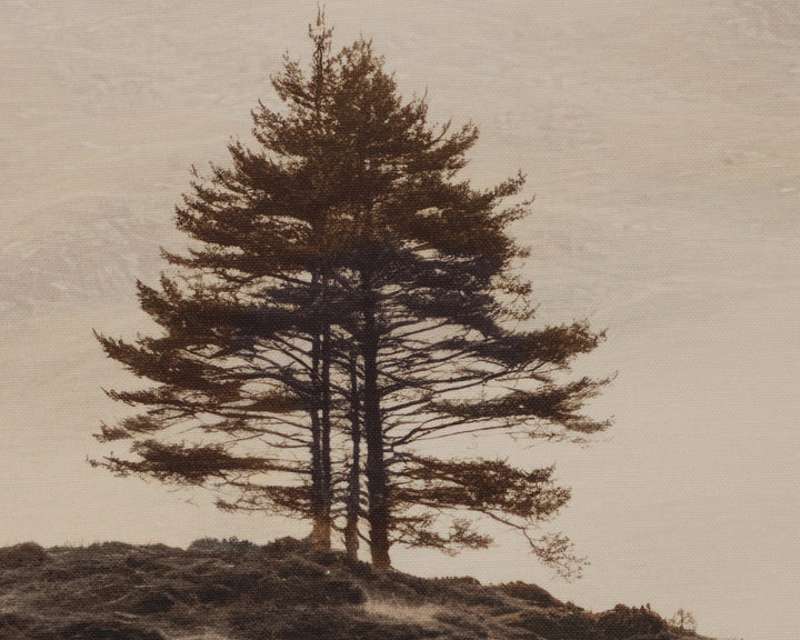 Together Alone II - 20" X 30" - Brown Floater Frame