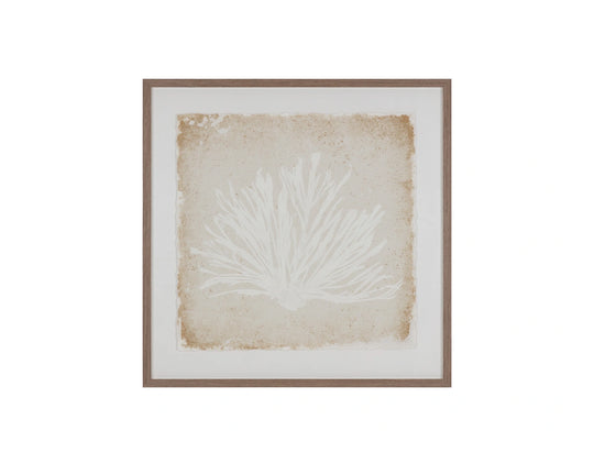Aquatic Flora I - 40" X 40" - Medium Brown Frame
