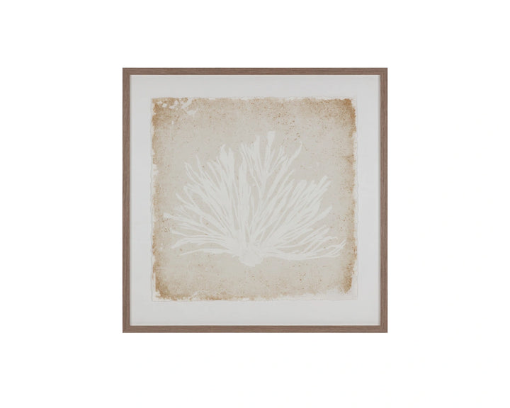 Aquatic Flora I - 40" X 40" - Medium Brown Frame