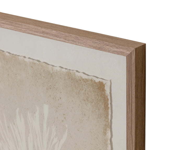 Aquatic Flora I - 40" X 40" - Medium Brown Frame