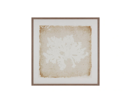 Aquatic Flora II - 40" X 40" - Medium Brown Frame