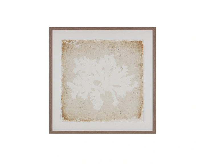 Aquatic Flora II - 40" X 40" - Medium Brown Frame