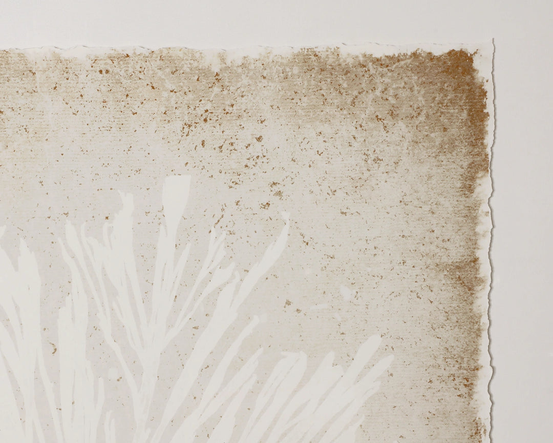 Aquatic Flora I - 40" X 40" - Medium Brown Frame