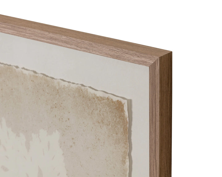 Aquatic Flora II - 40" X 40" - Medium Brown Frame