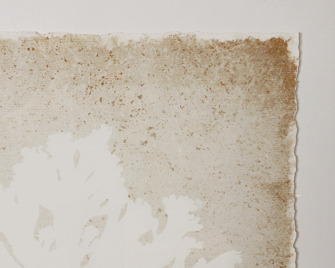 Aquatic Flora II - 40" X 40" - Medium Brown Frame