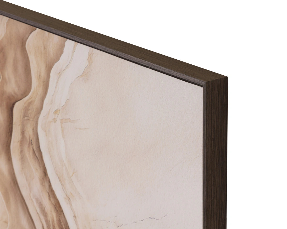 Access Route - 40" X 54" - Deep Brown Floater Frame