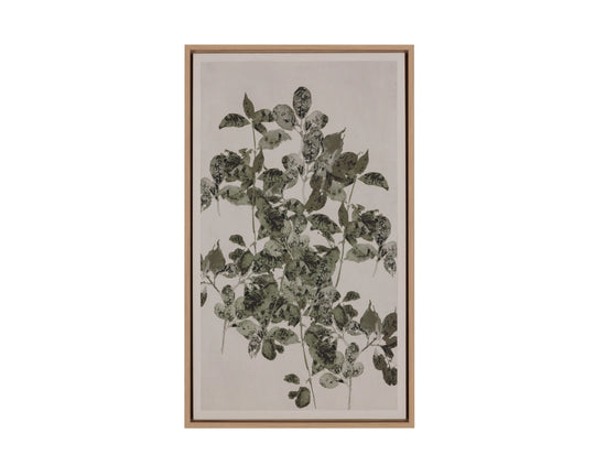Botanical Study I - 18.5" X 31" - Natural Floater Frame