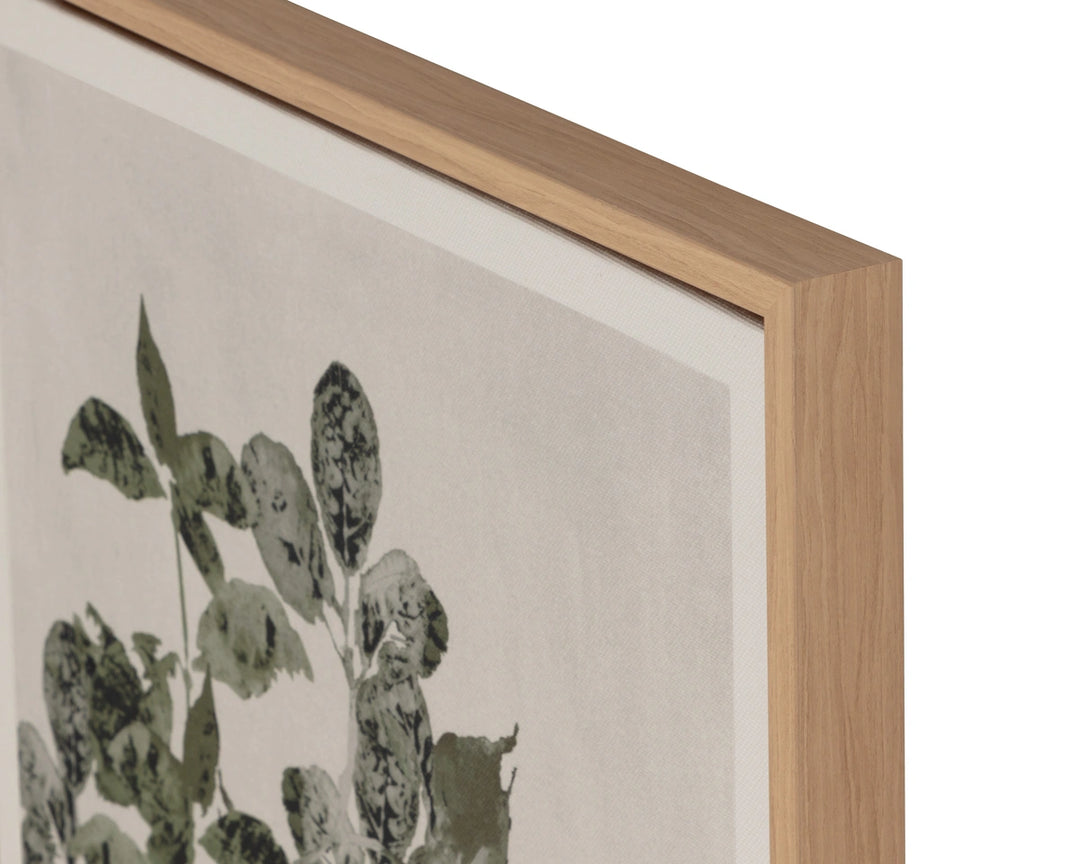 Botanical Study I - 18.5" X 31" - Natural Floater Frame