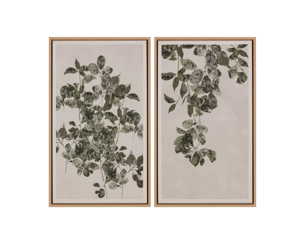 Botanical Study II - 18.5" X 31" - Natural Floater Frame
