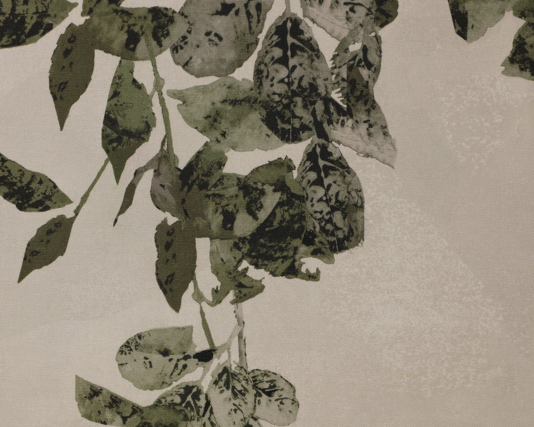 Botanical Study II - 18.5" X 31" - Natural Floater Frame