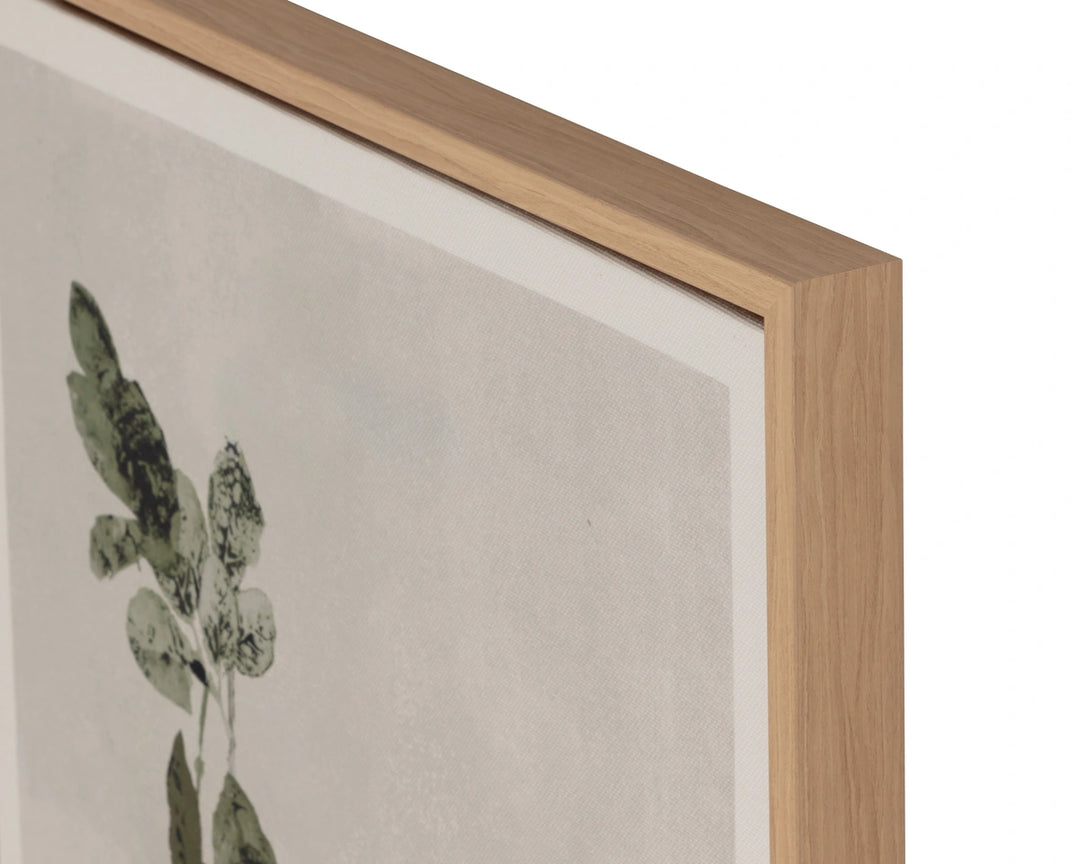 Botanical Study III - 18.5" X 31" - Natural Floater Frame