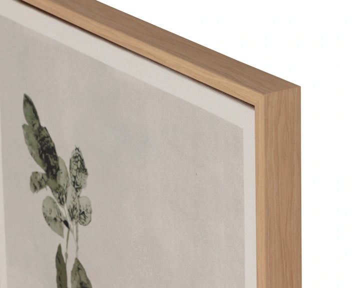 Botanical Study III - 18.5" X 31" - Natural Floater Frame