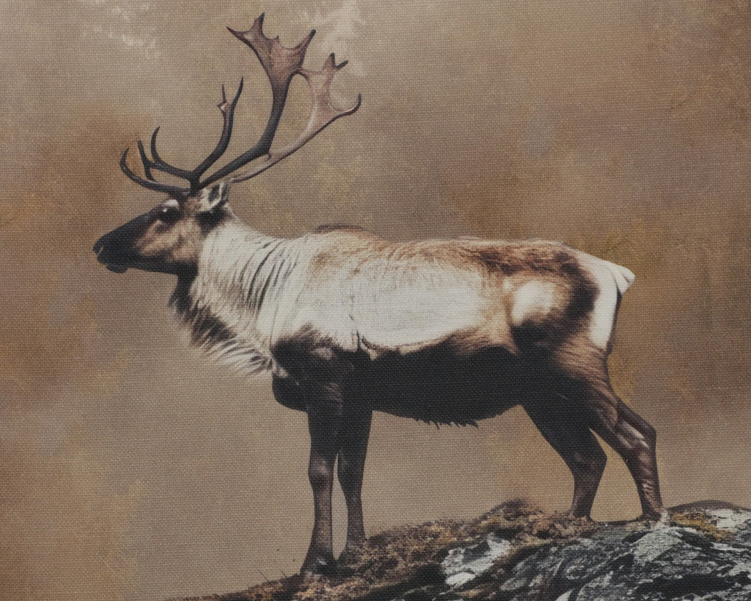 Into The Wild I - 20" X 30" - Brown Floater Frame