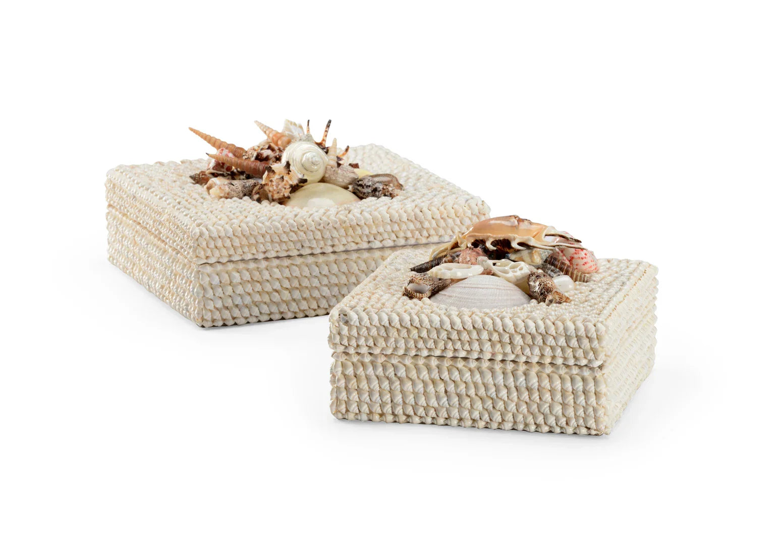 Chelsea House White Shell Boxes (S2) DECORATIVE BASKETS + BOXES