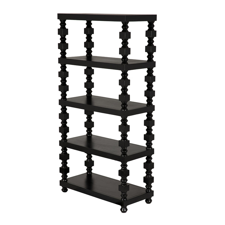 Moabite Bookcase