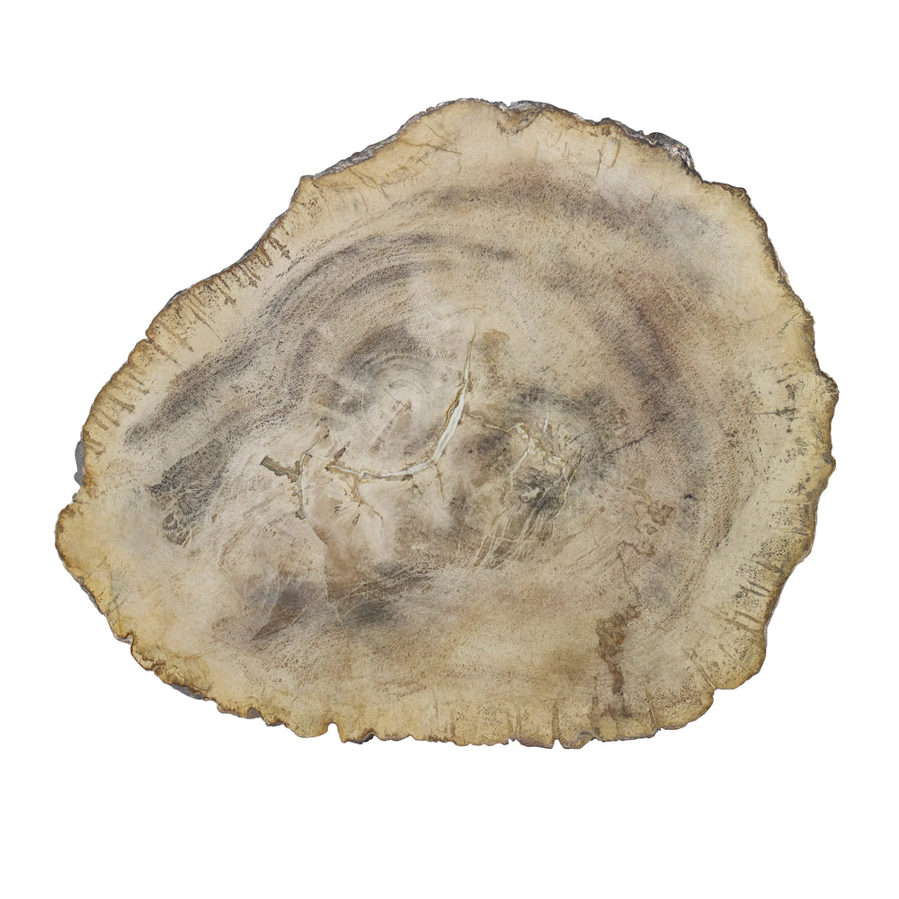 Branch Accent Table - AmericanHomeFurniture