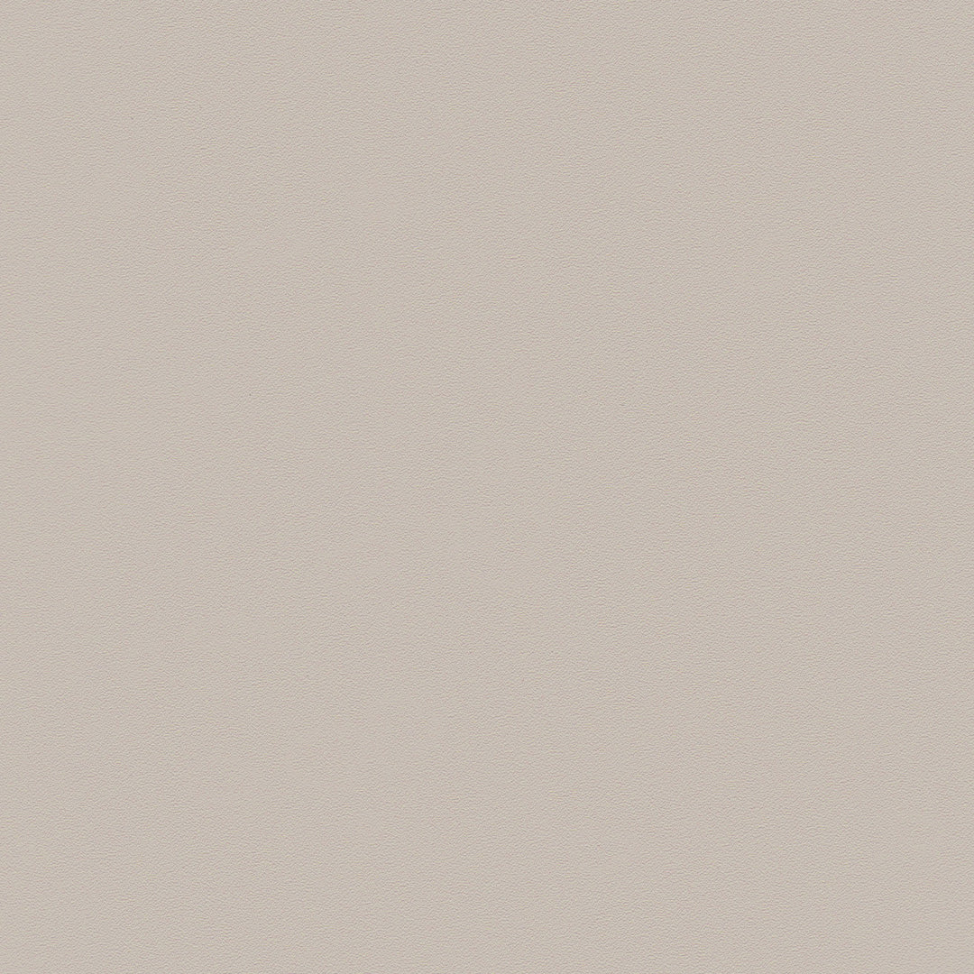 Zeal Barstool (Set of 4) Light Gray & Beige