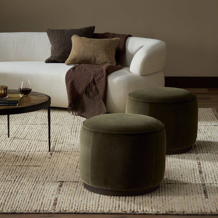 Surrey Olive