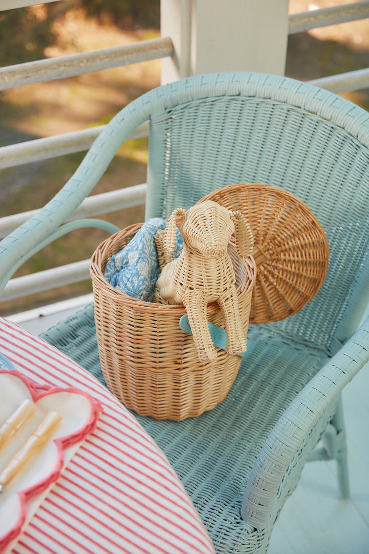 Little Potcake - 16625014
