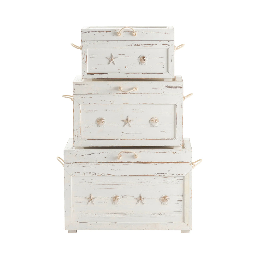 Whitewashed Wood Trunks - AmericanHomeFurniture