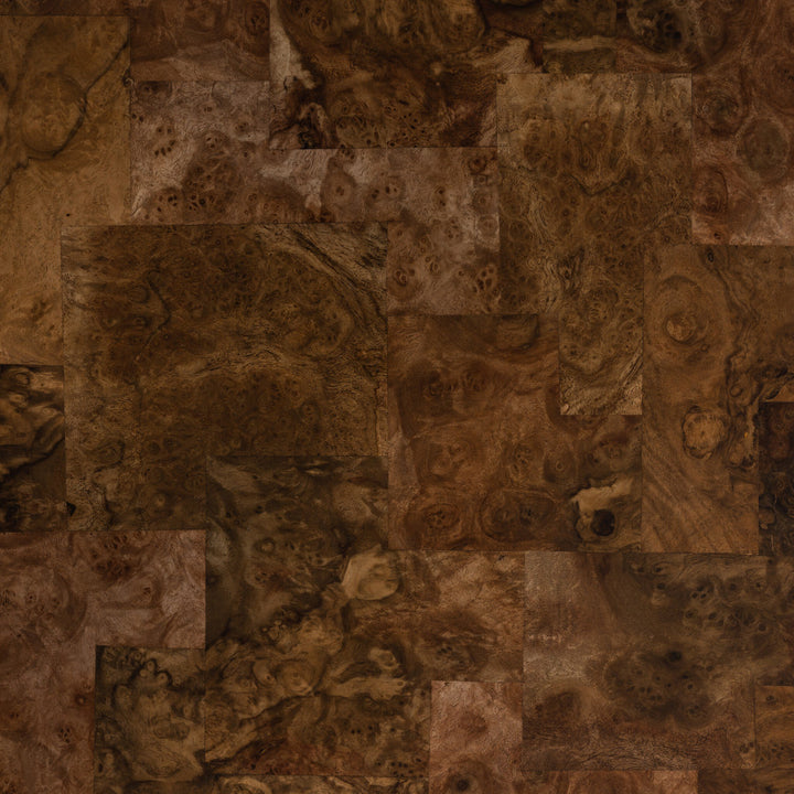 Warm Umber Burl