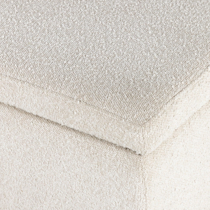 Navi Trunk - AmericanHomeFurniture