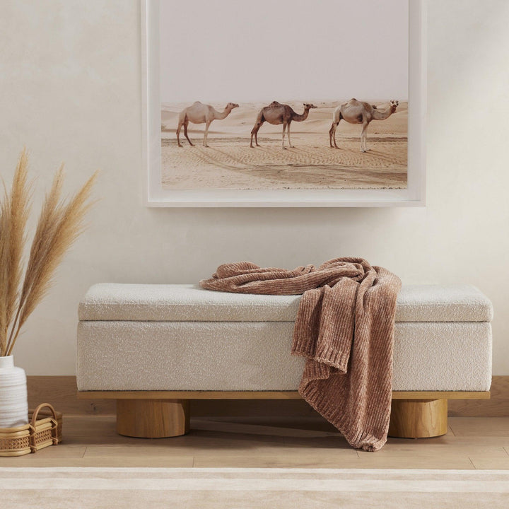 Navi Trunk - AmericanHomeFurniture