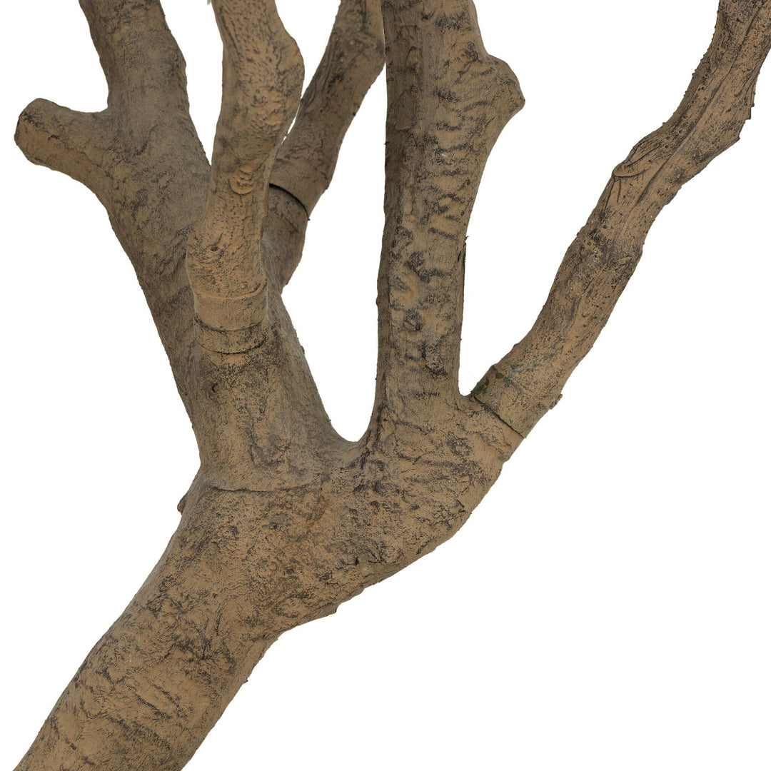 Faux Olive Tree Wide