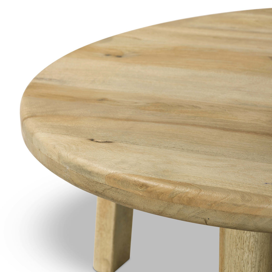 Four Hands - Daley Coffee Table - 251436-004 | American Home Furniture