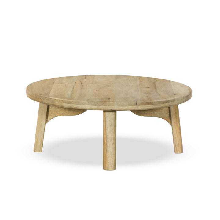 Four Hands - Daley Coffee Table - 251436-004 | American Home Furniture