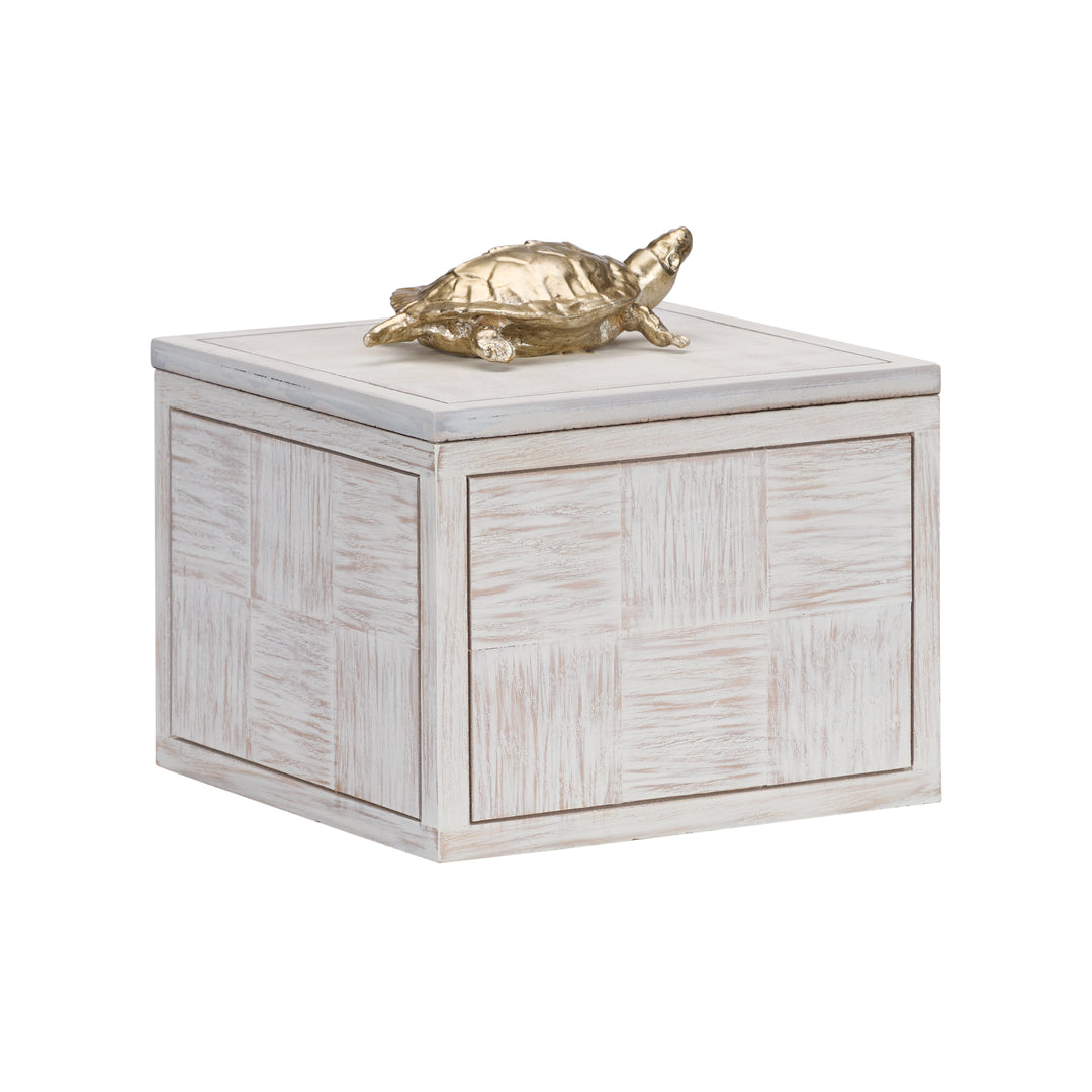 Tortoise Box (Lg) - 301184