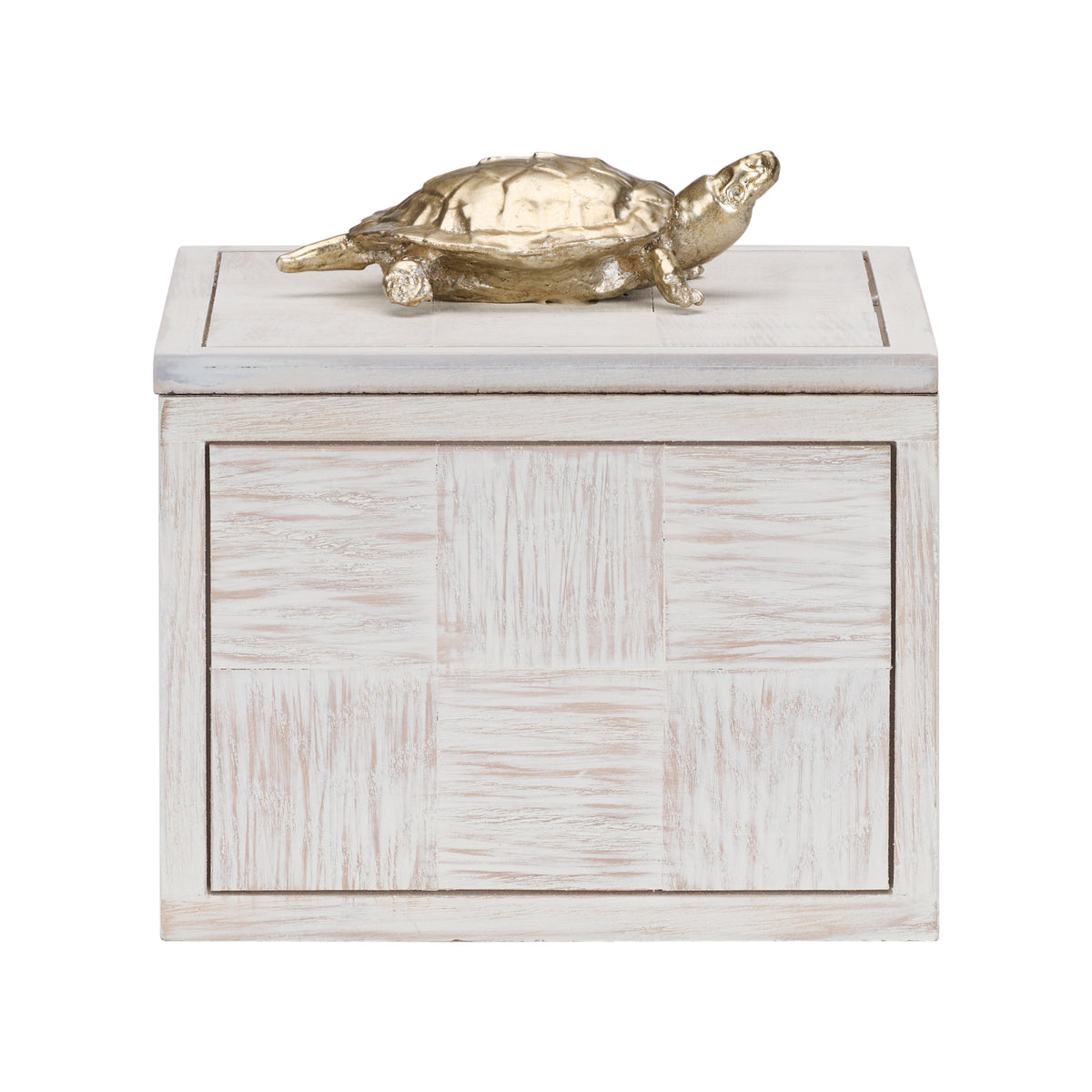 Tortoise Box (Lg) - 301184