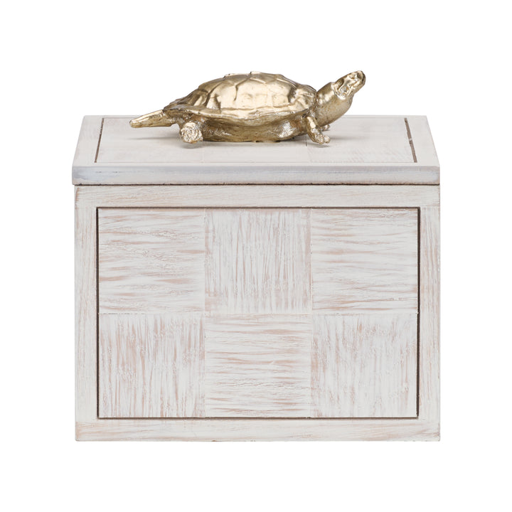 Tortoise Box (Lg) - 301184