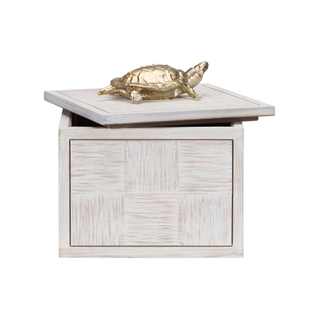 Tortoise Box (Lg) - 301184