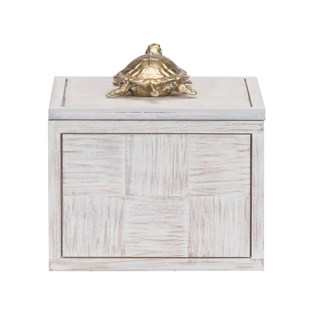 Tortoise Box (Lg) - 301184