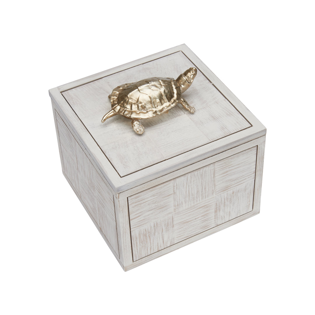 Tortoise Box (Lg) - 301184