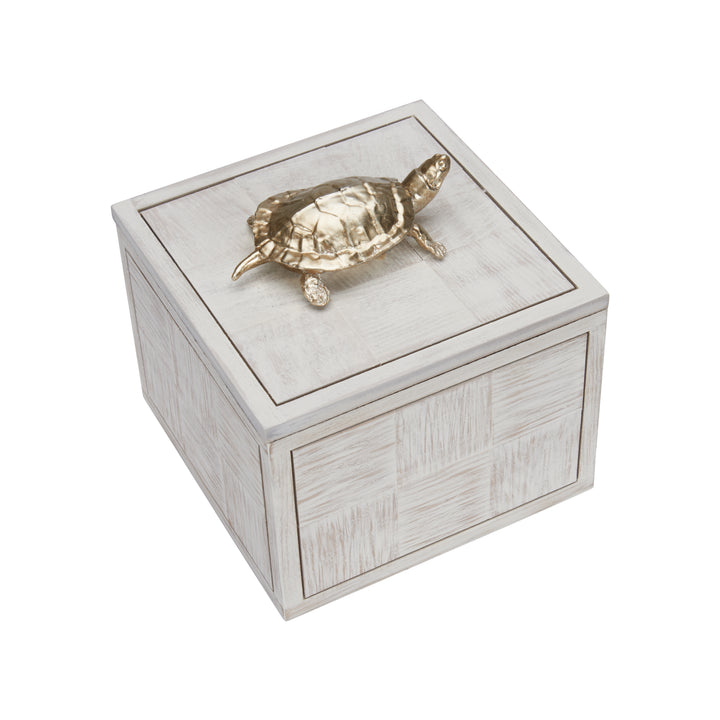 Tortoise Box (Lg) - 301184