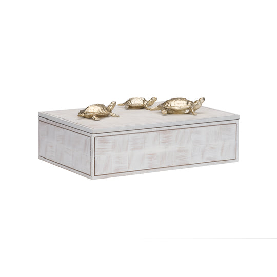 Tortoise Family Box - 301293
