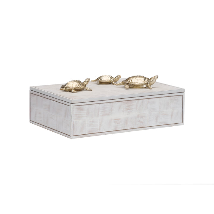 Tortoise Family Box - 301293
