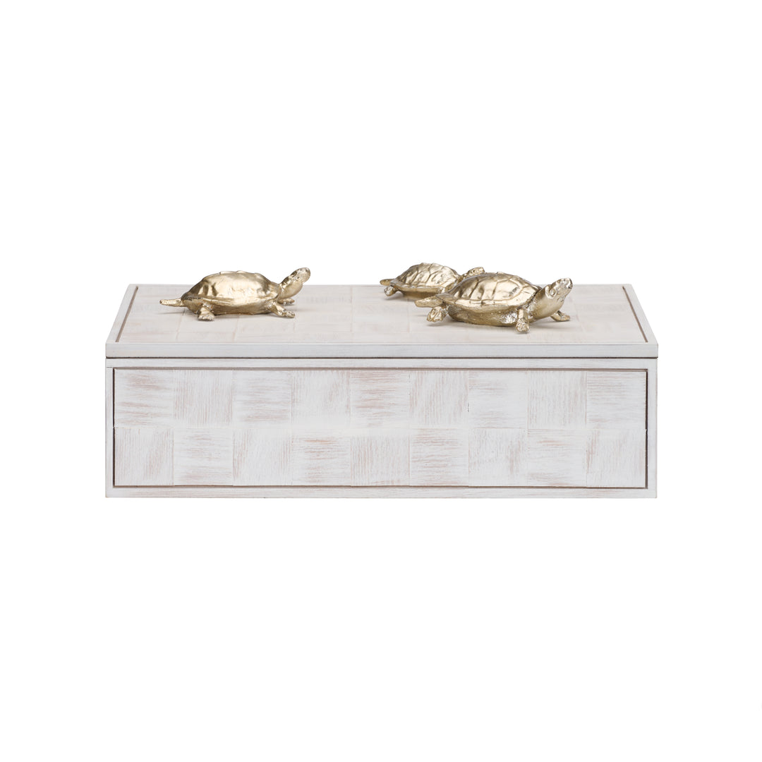 Tortoise Family Box - 301293